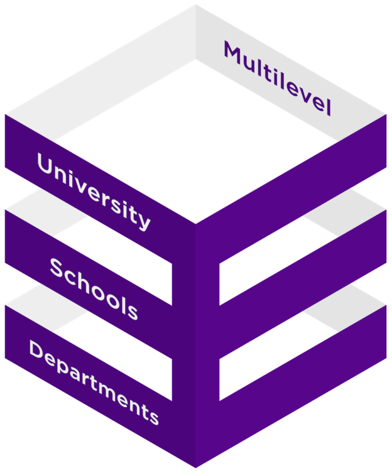 The multilevel structure of the ECFI: University, Schools, Departments